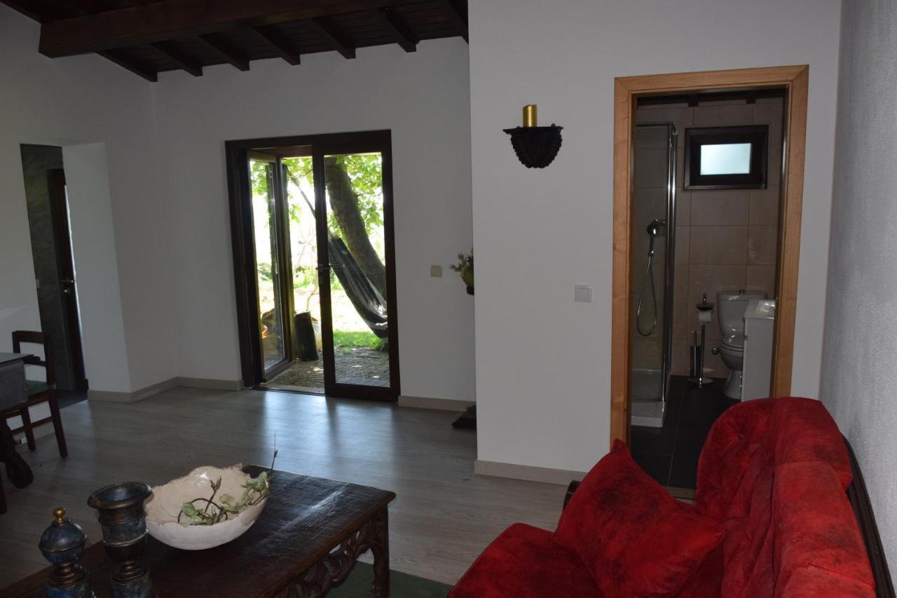 Hotel Quinta Da Boa Ventura Bragança Esterno foto